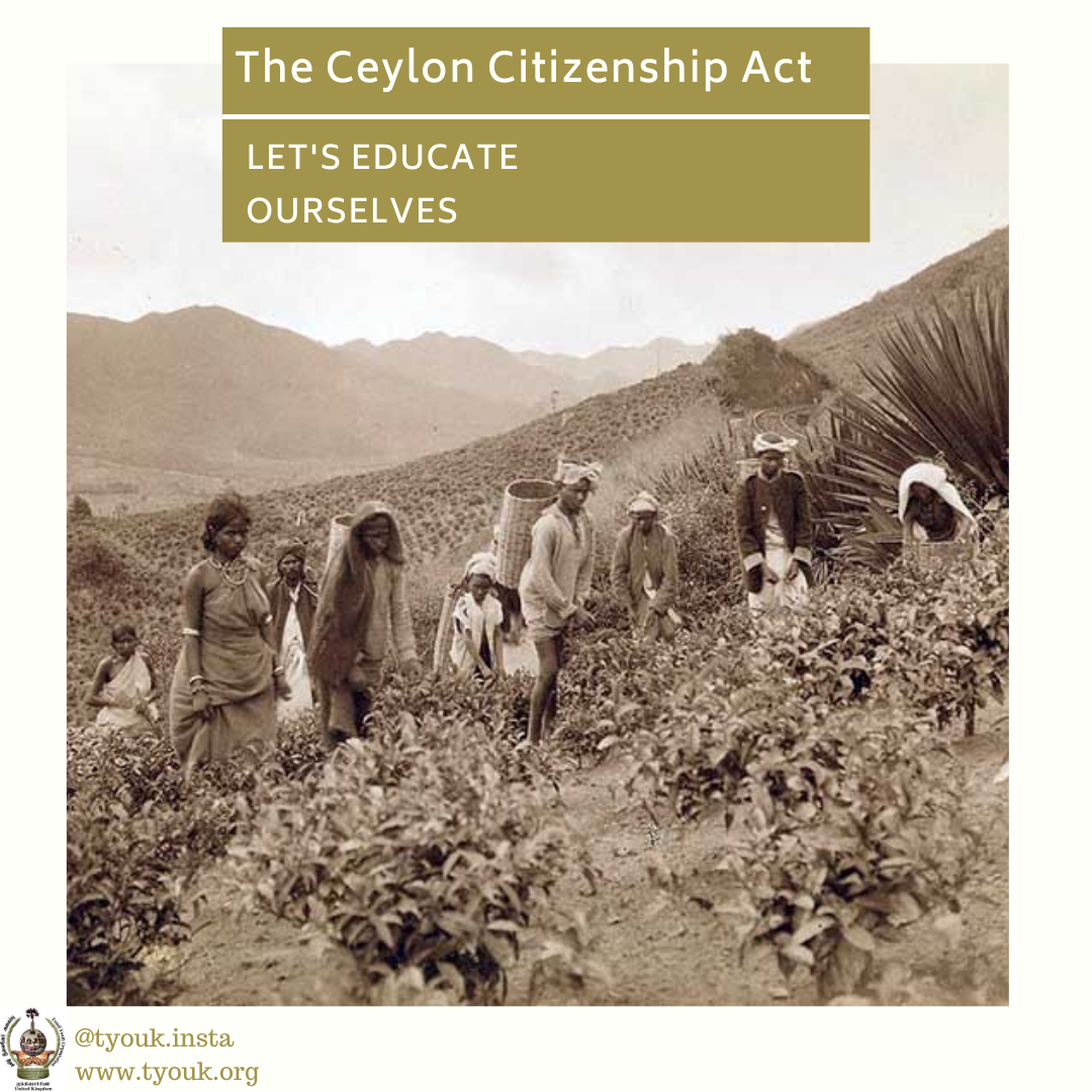 section 4 3 of the citizenship act